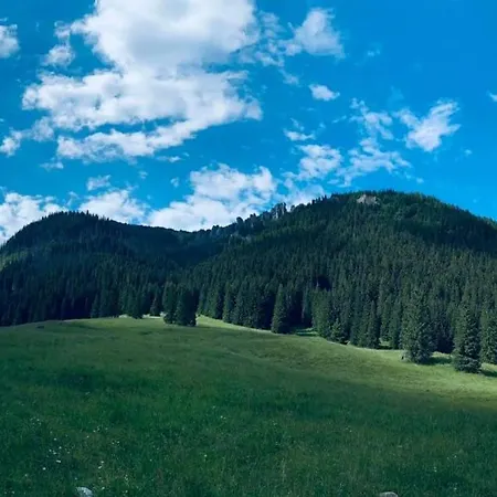 וילה Goralska *